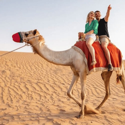 Camel Trekking