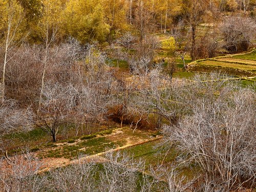 Ingenious irrigation channels bring life to the fields of the Dadès Valley.
