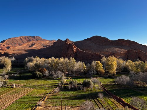 A green oasis in the heart of the arid Dadès Gorge, where life thrives in cultivated fields.
